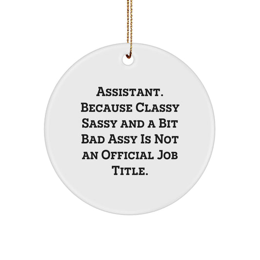 Funny Assistant Gifts for Men Christmas Unique Circle Ornament Gifts from Family - Image 1