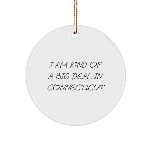 I Am Kind Of A Prime Selection In Connecticut - Funny Connecticut Gifts, Circle Ornament for Christmas Unique Gifts from Friends to Family - Image 1
