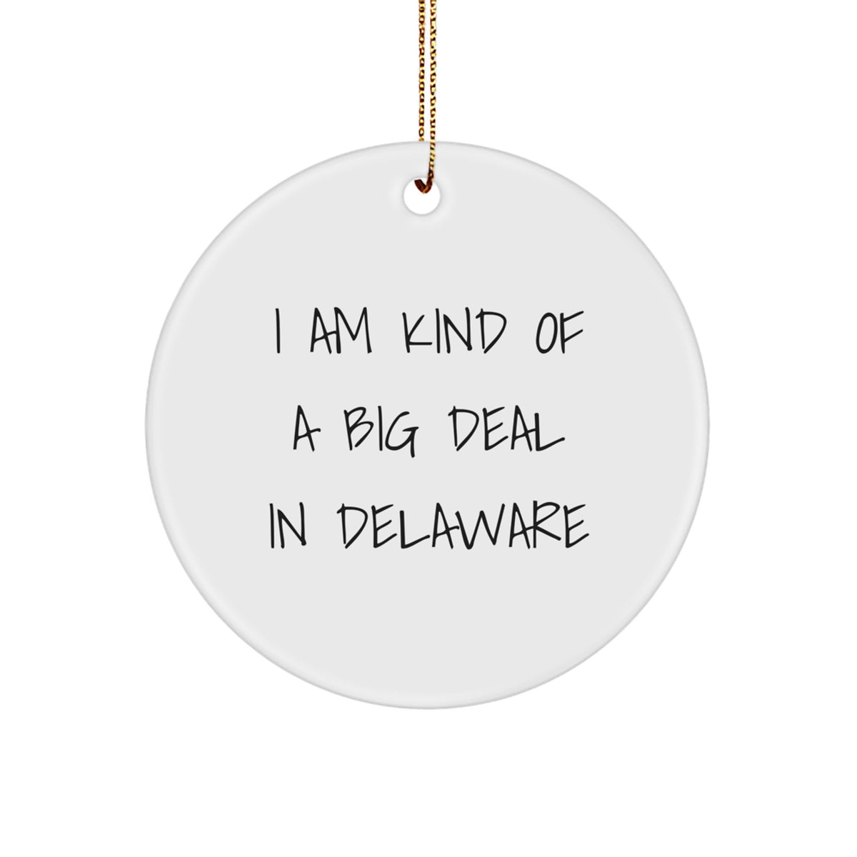 Delaware Circle Ornament Gifts from Friends for Christmas, I Am Kind Of A Prime Selection In - Image 1