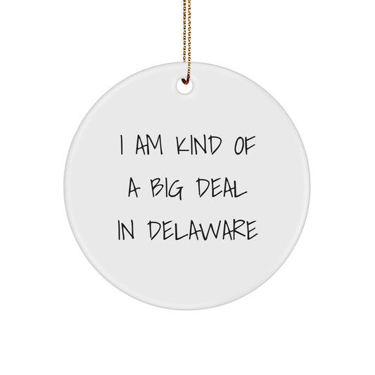 Delaware Circle Ornament Gifts from Friends for Christmas, I Am Kind Of A Prime Selection In - Image 1