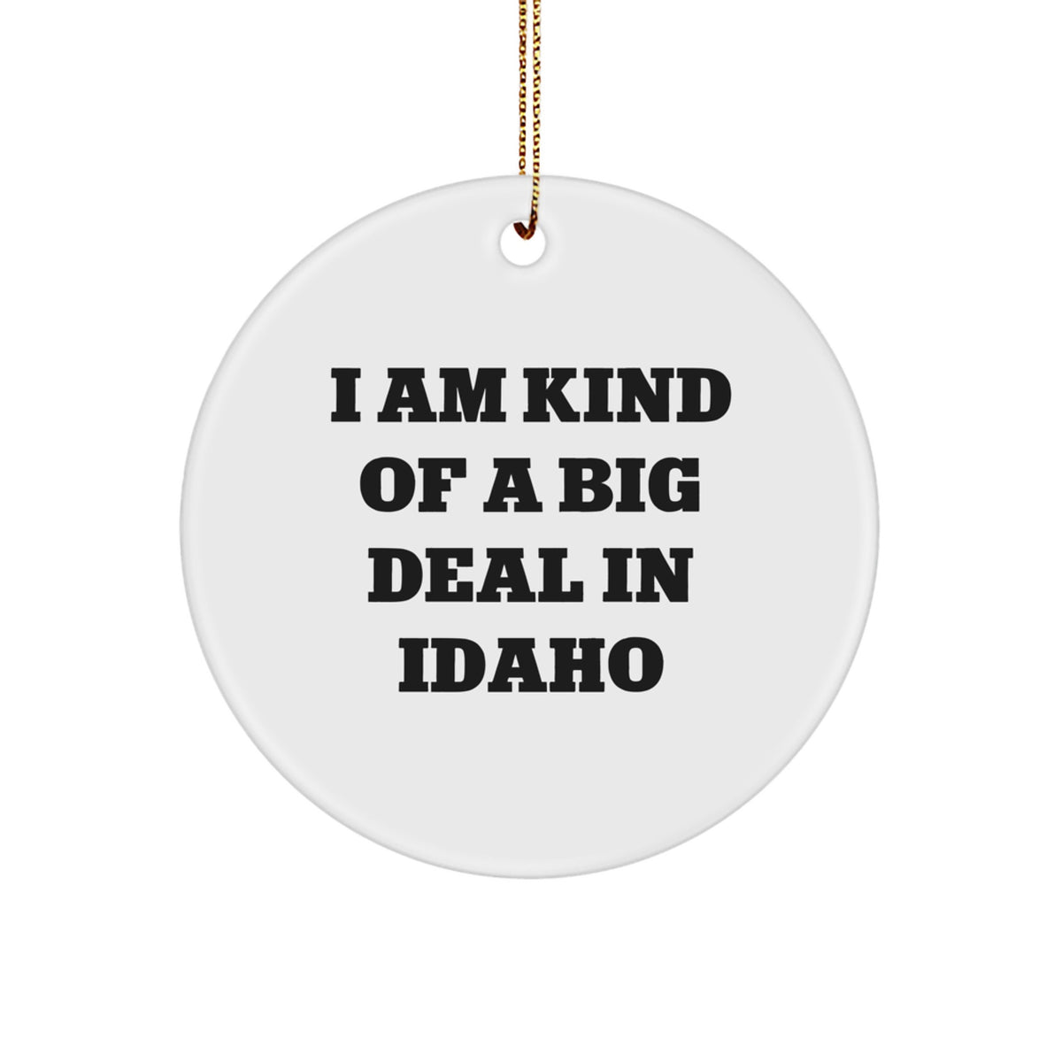 Funny Idaho Christmas Unique Gifts from Friends for Men and Women, Cute Circle Ornament I Am Kind Of A Prime Selection In Idaho - Image 1