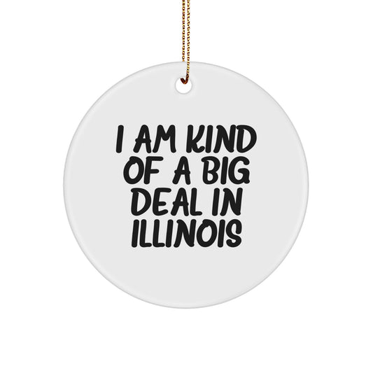 Funny Illinois Circle Ornament Gifts from Friends and Family, 'I Am Kind Of A Prime Selection In Illinois' Christmas Unique Gifts - Image 1