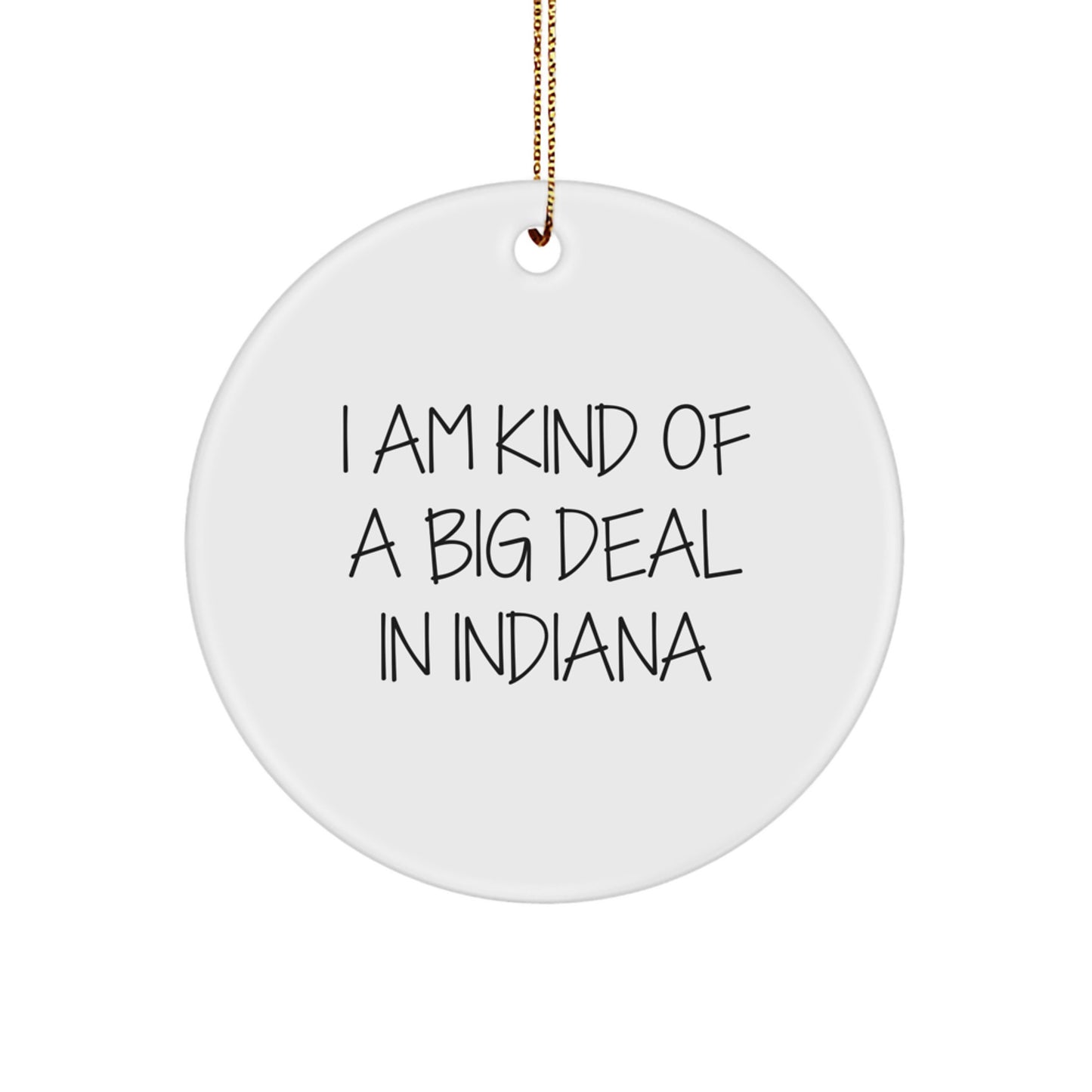 Funny Quote Gifts from Men to Friends in Indiana - Cute Circle Ornament for Christmas Decorations | I Am Kind Of A Prime Selection In Indiana - Image 1