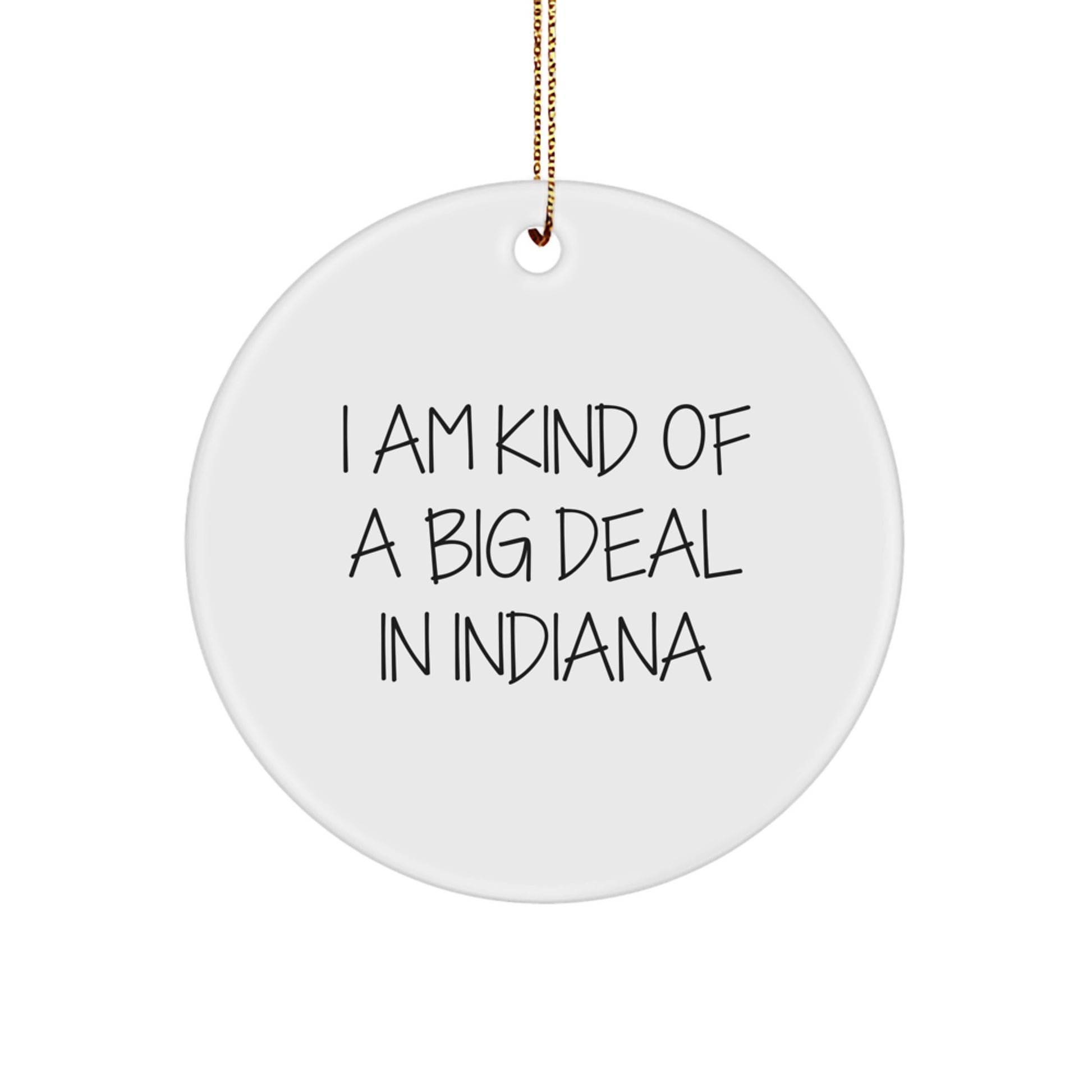 Funny Quote Gifts from Men to Friends in Indiana - Cute Circle Ornament for Christmas Decorations | I Am Kind Of A Prime Selection In Indiana - Image 1