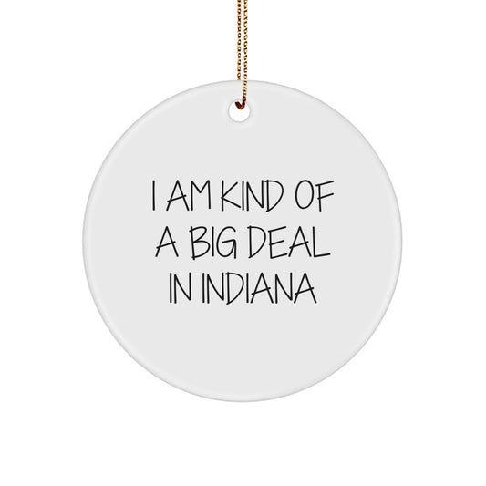 Funny Quote Gifts from Men to Friends in Indiana - Cute Circle Ornament for Christmas Decorations | I Am Kind Of A Prime Selection In Indiana - Image 1