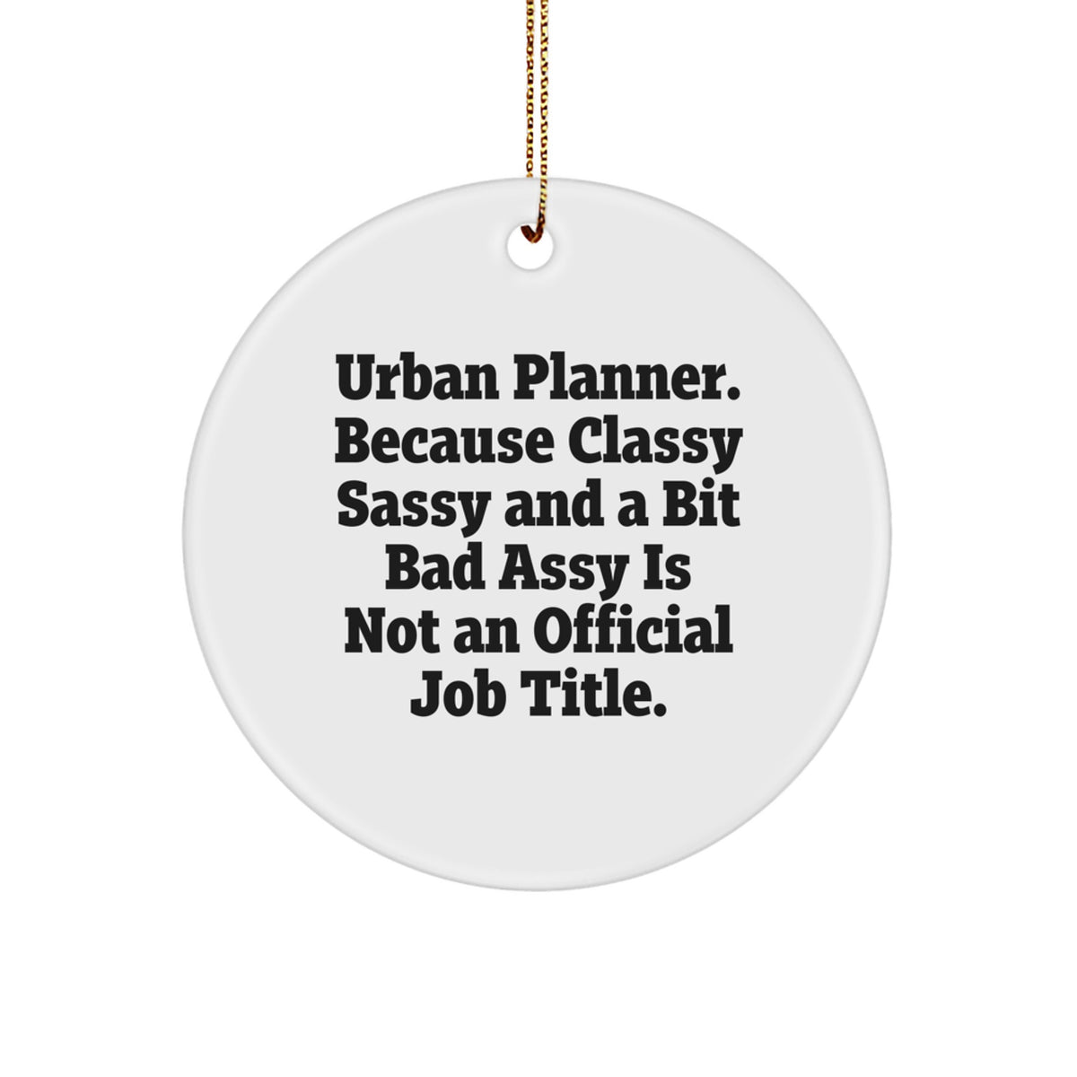 Funny Gifts from Friends for Urban Planner - Circle Ornament with Christmas Unique Presents - Image 1