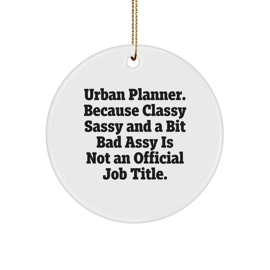 Funny Gifts from Friends for Urban Planner - Circle Ornament with Christmas Unique Presents - Image 1