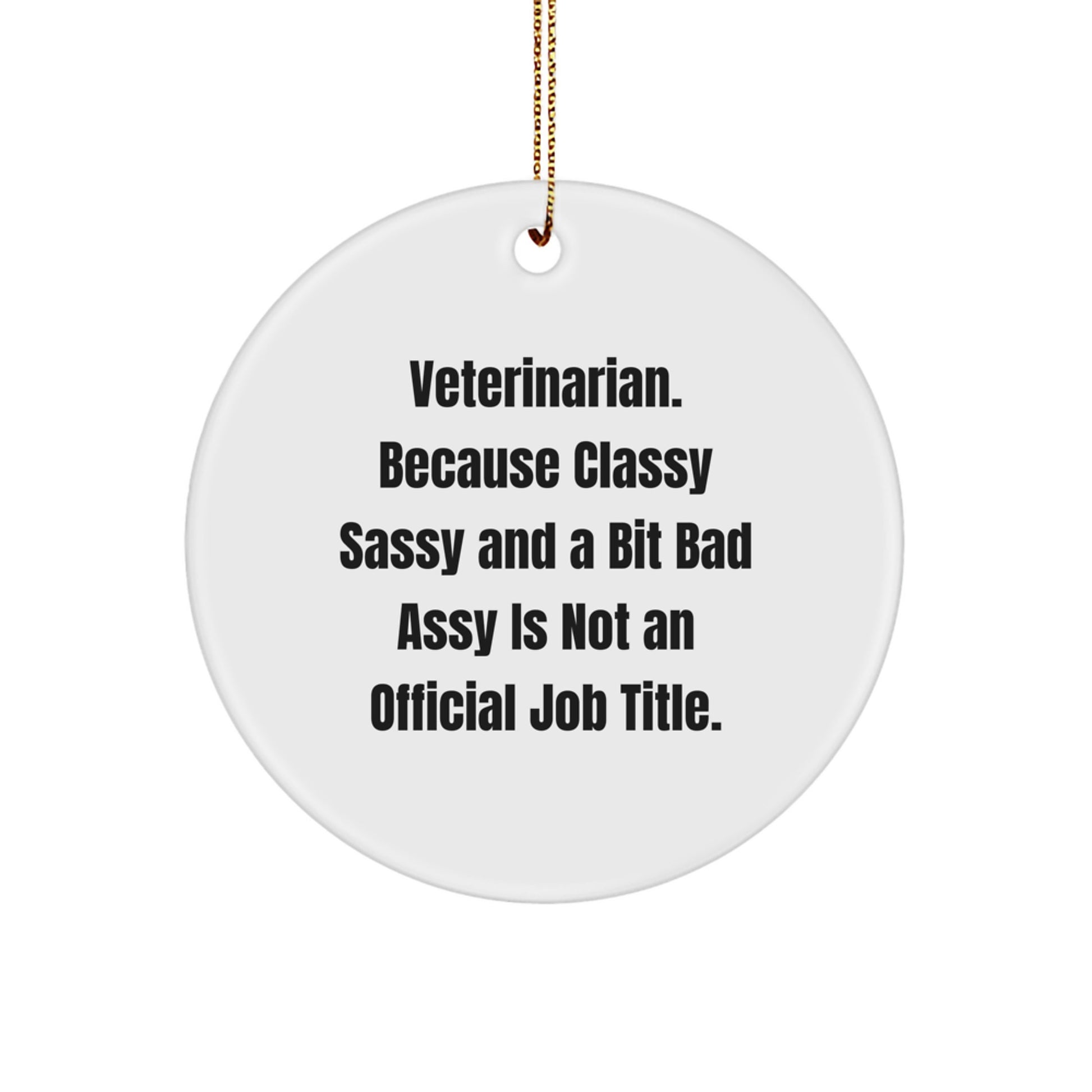 Veterinarian Circle Ornament Favorite for Kids Surprise Christmas Gift - Image 1