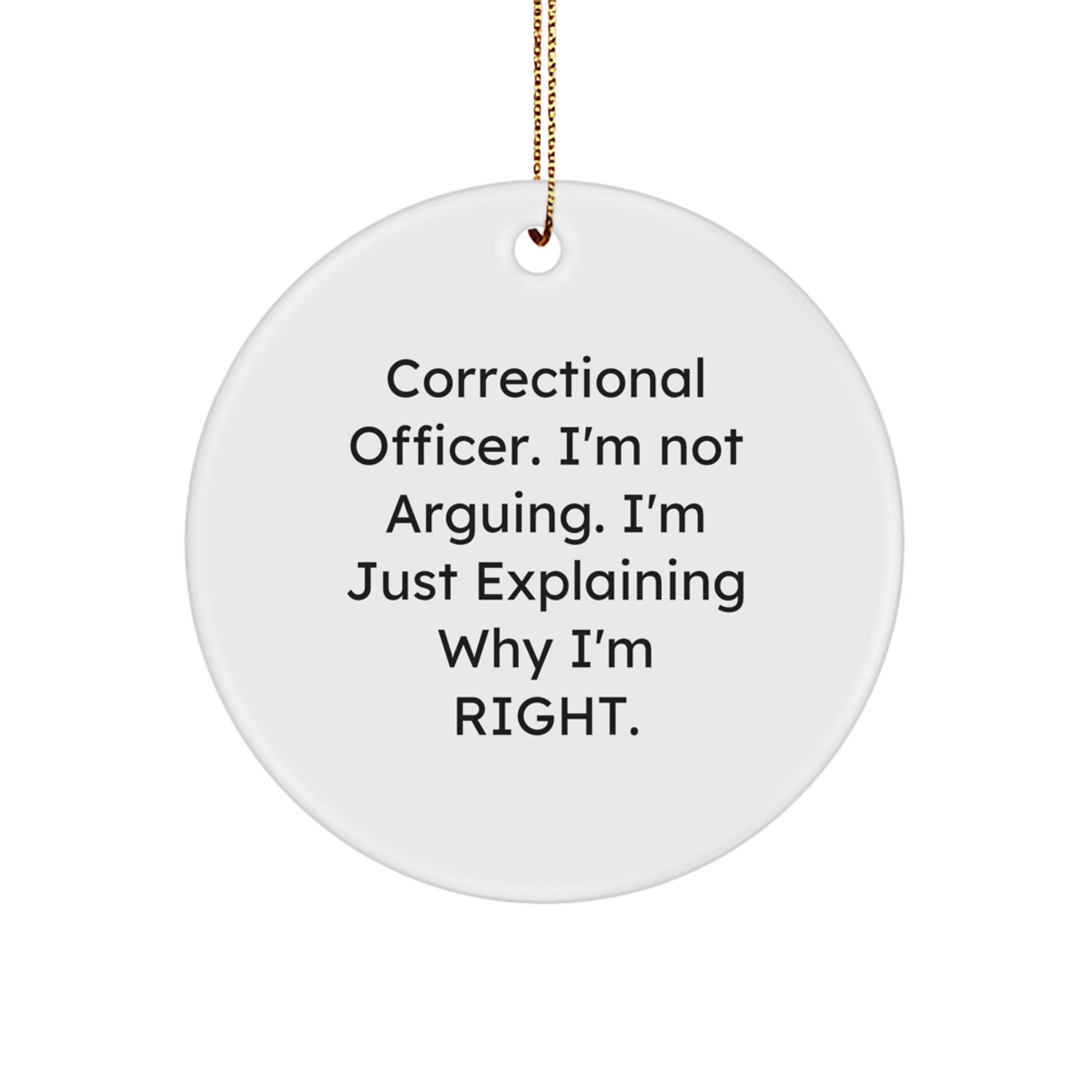 Witty Correctional Officer Christmas Ornament Memento for Roommates Gift - Image 1