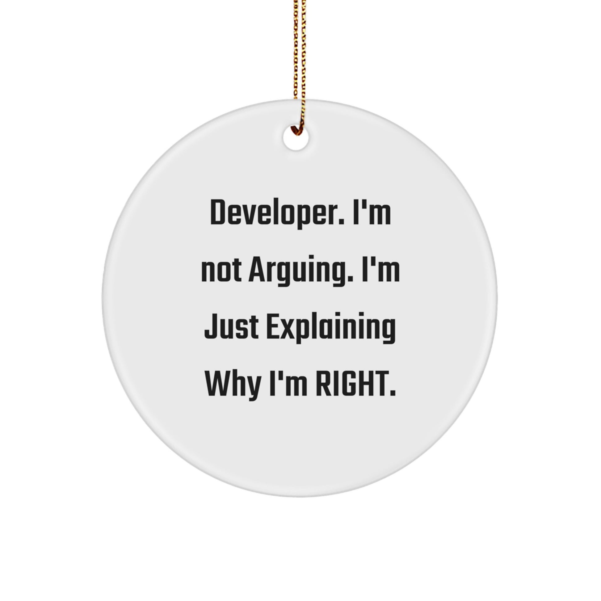 Funny Developer Circle Ornament, Gifts for Developer, Gifts from Friends and Family at Christmas - Image 1