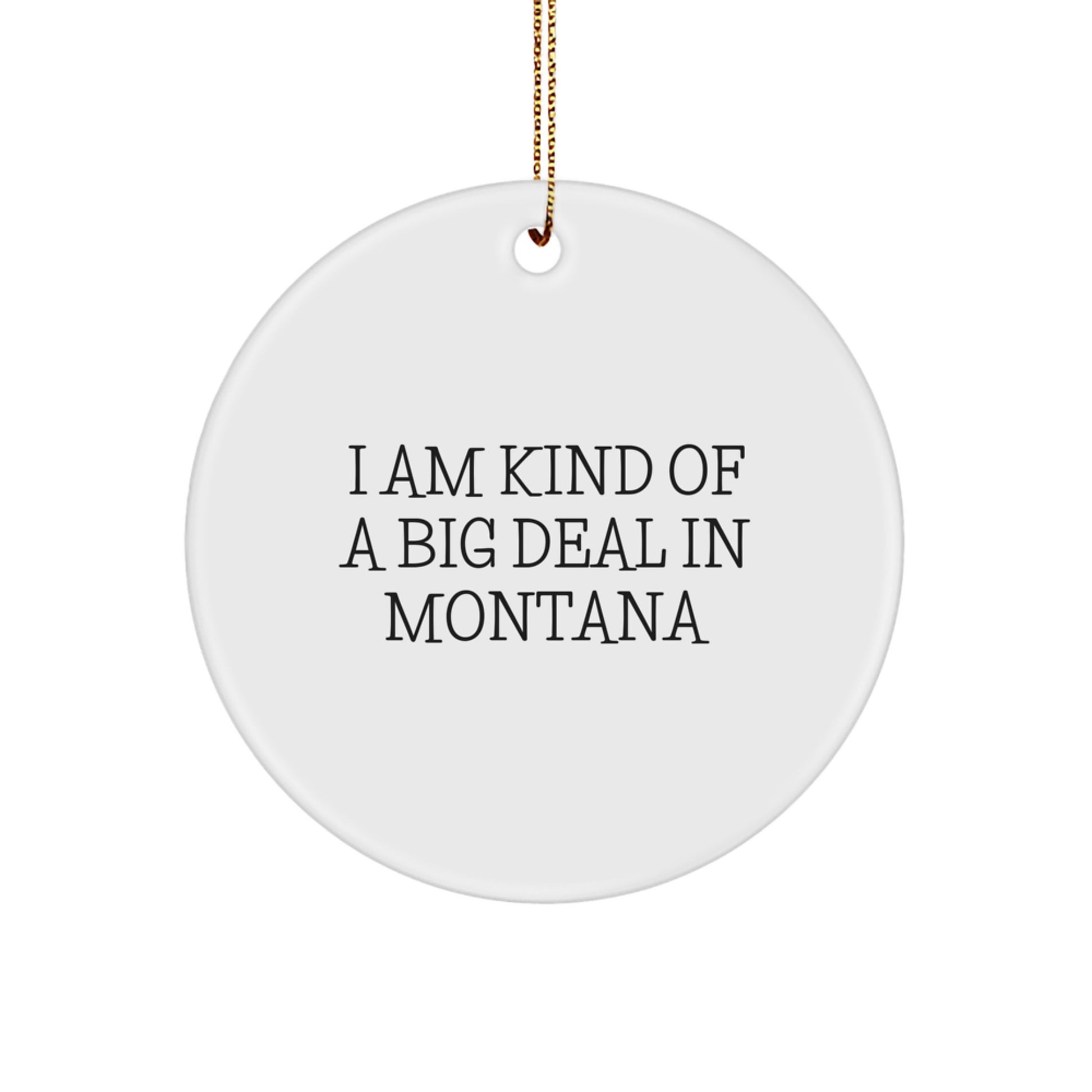 Funny Montana Circle Ornament Gifts for Men from Montana Friends, Unique Christmas Decor, I Am Kind Of A Prime Selection In Montana - Image 1