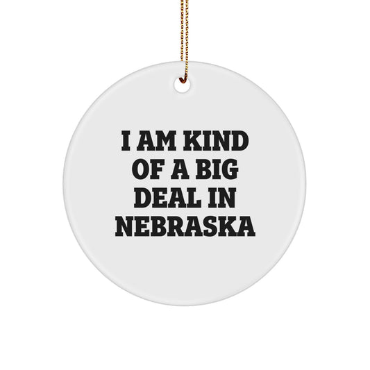 Nebraska Circle Ornament Christmas Gift for Coworkers Idea - Image 1