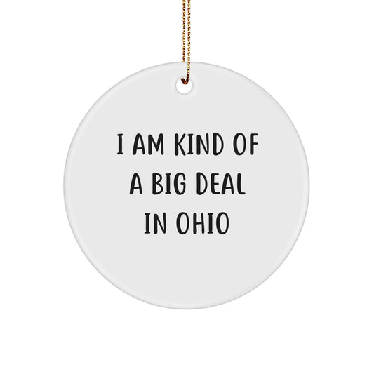 Funny Ohio Circle Ornament Gifts from Men to Women or Coworkers, Unique I Am Kind Of A Prime Selection In Ohio Christmas Unique Gift - Image 1