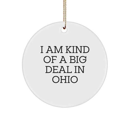 Funny Ohio State Circle Ornament For Friends Gifts from Ohio, A Great Gift for Ohio State Fans, Christmas Unique Gifts - Image 1