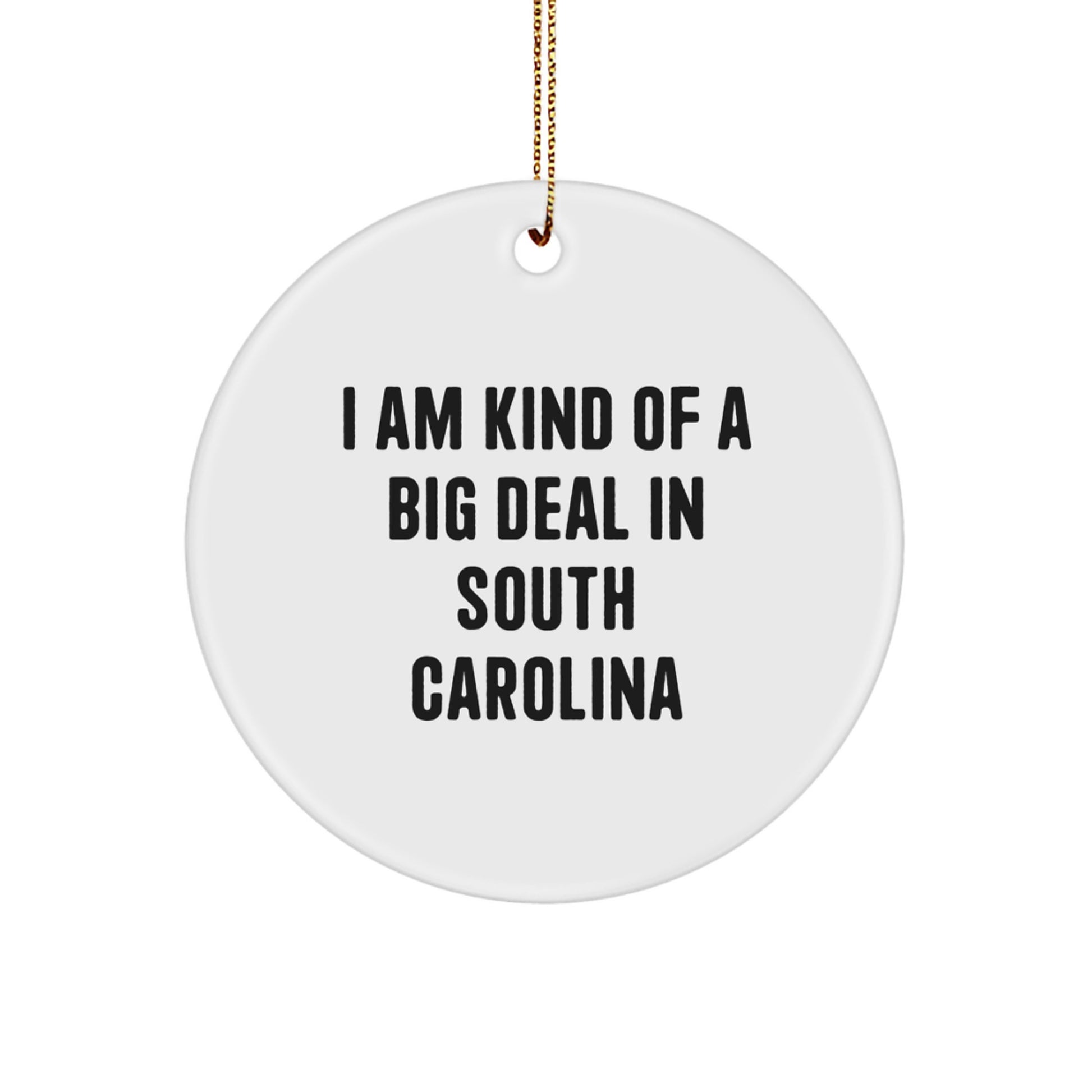 Funny South Carolina Circle Ornament Gifts from Friends and Family for Christmas, I Am Kind Of A Prime Selection In South Carolina - Image 1