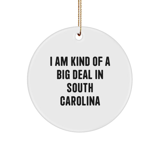 Funny South Carolina Circle Ornament Gifts from Friends and Family for Christmas, I Am Kind Of A Prime Selection In South Carolina - Image 1