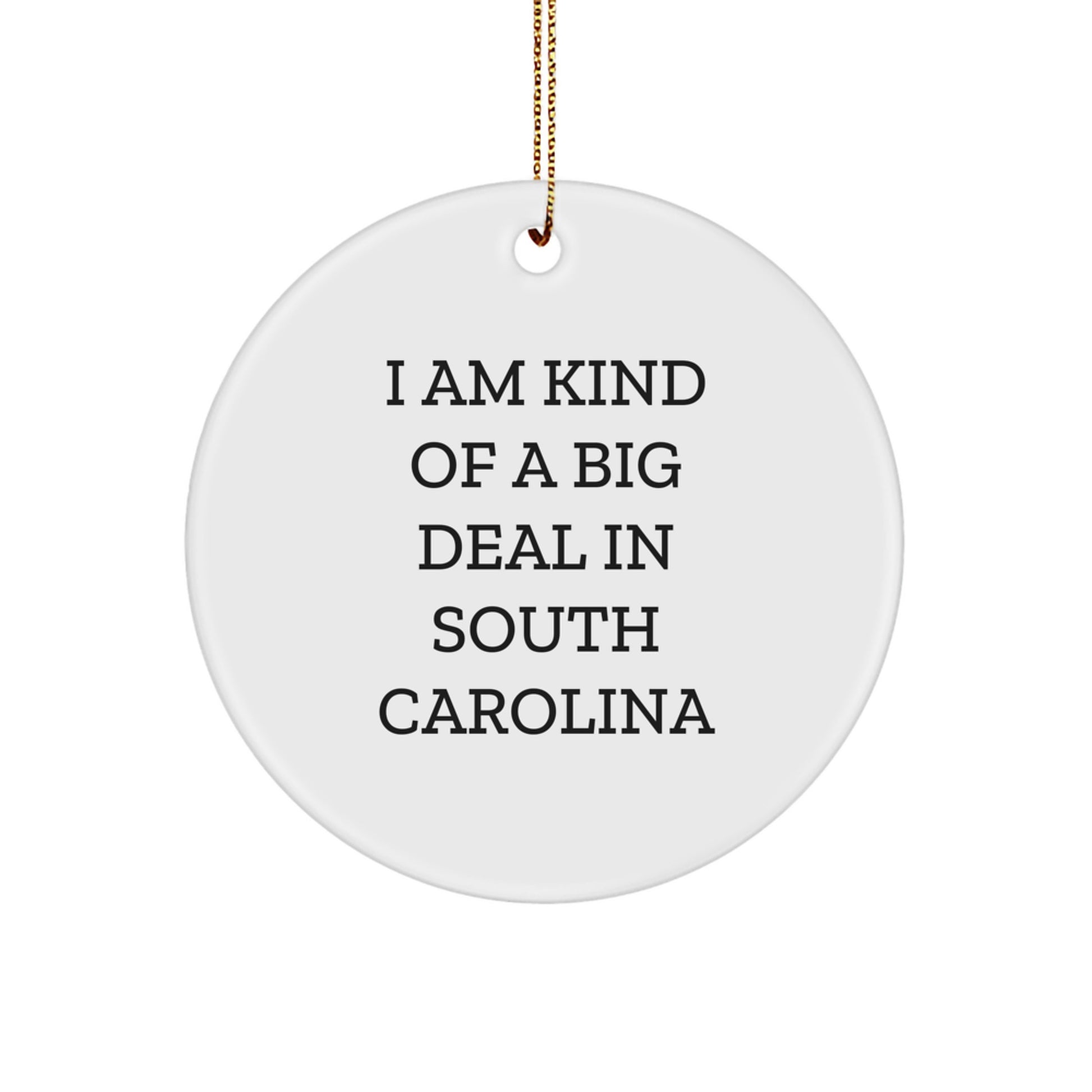 Funny South Carolina Gifts from Friends and Family - I 'm Kind Of A Prime Selection In South Carolina Circle Ornament Unique Christmas Decorations - Image 1