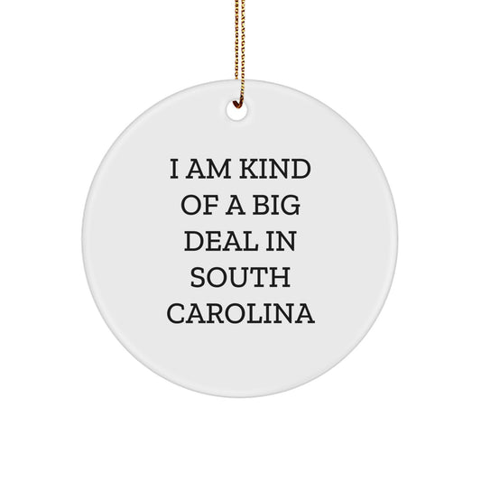 Funny South Carolina Gifts from Friends and Family - I 'm Kind Of A Prime Selection In South Carolina Circle Ornament Unique Christmas Decorations - Image 1