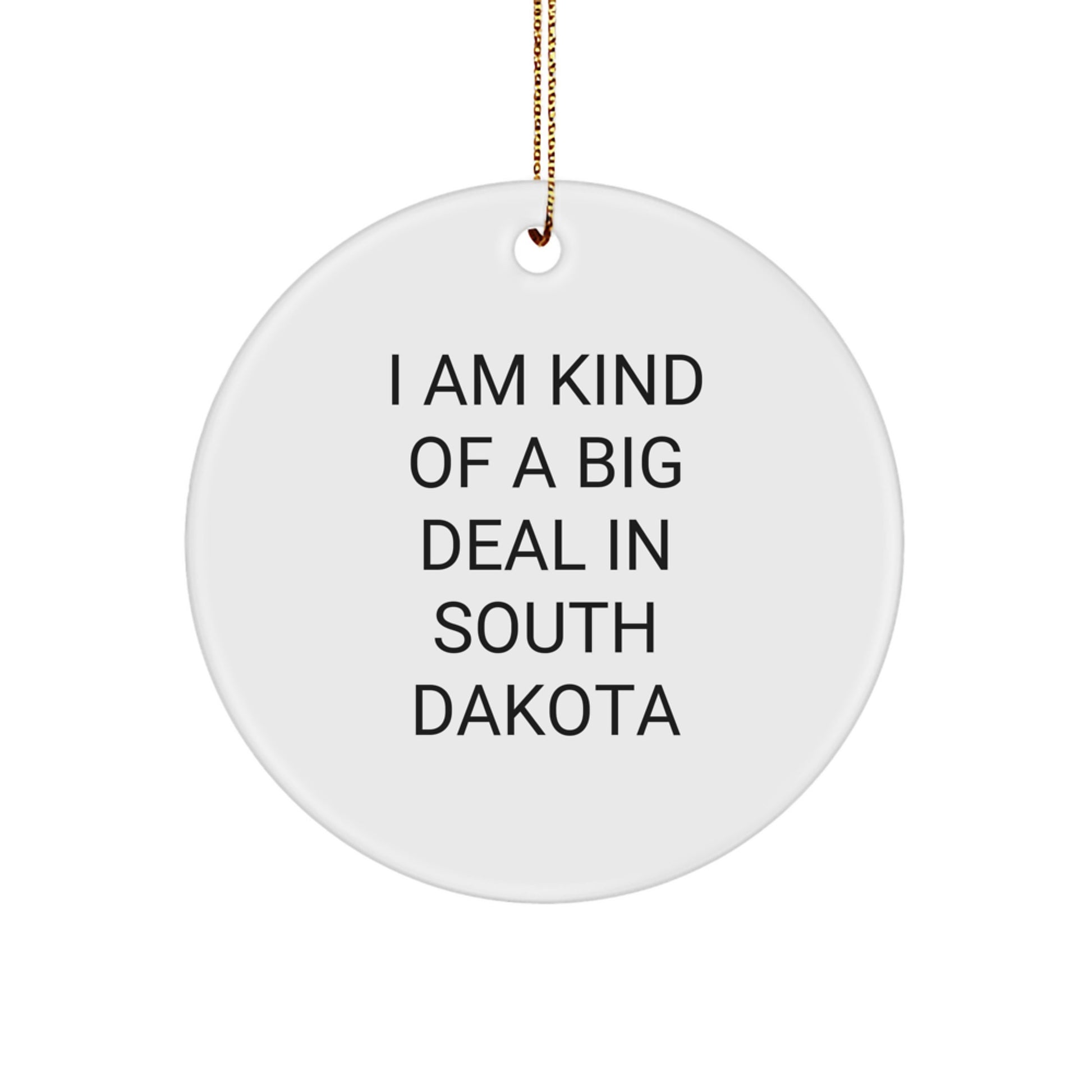 Unique South Dakota Gifts from Friends, Family, or Coworkers - I Am Kind Of A Prime Selection In South Dakota Christmas Circle Ornament - Image 1