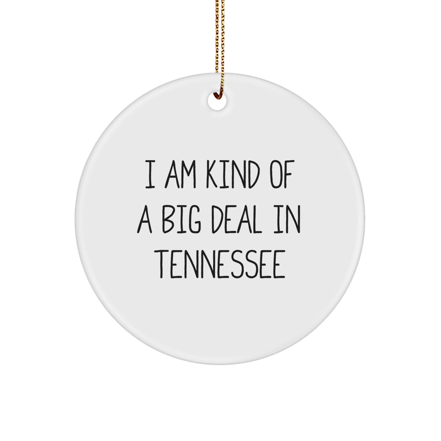 Funny Tennessee Gifts from Friends, Men, Women, or Coworkers - I Am Kind Of A Prime Selection In 'Tennessee' Christmas Unique Ornaments for Family - Image 1