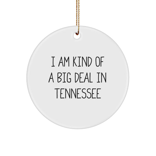Funny Tennessee Gifts from Friends, Men, Women, or Coworkers - I Am Kind Of A Prime Selection In 'Tennessee' Christmas Unique Ornaments for Family - Image 1