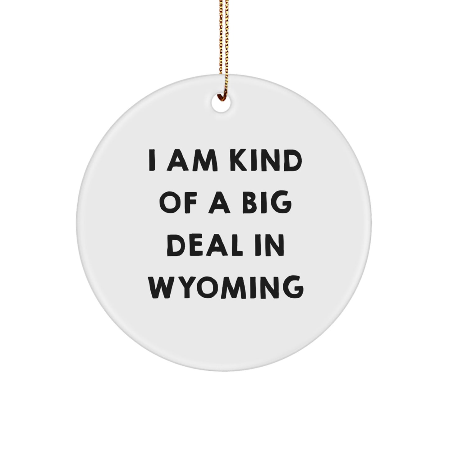 Funny Wyoming Gifts from Family, Circle Ornament, I Am Kind Of A Prime Selection, Unique Christmas Decorations for Home - Image 1