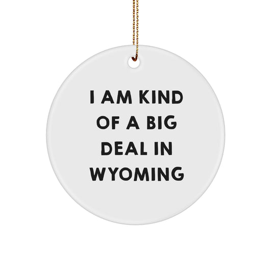 Funny Wyoming Gifts from Family, Circle Ornament, I Am Kind Of A Prime Selection, Unique Christmas Decorations for Home - Image 1