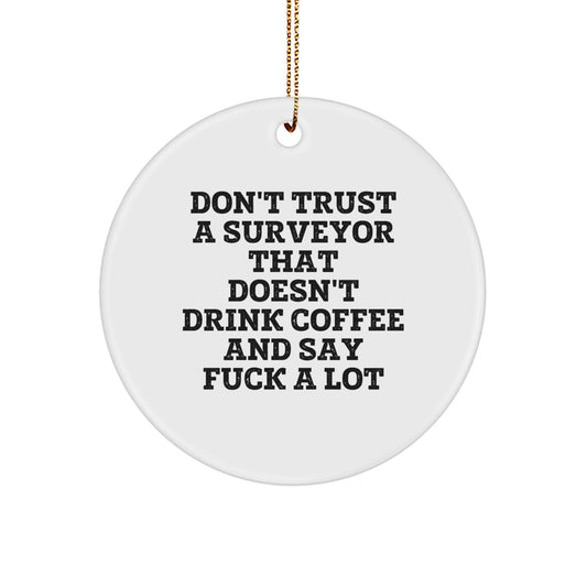 Surveyor Christmas Ornament Idea for Coworkers Humorous Holiday Gift - Image 1