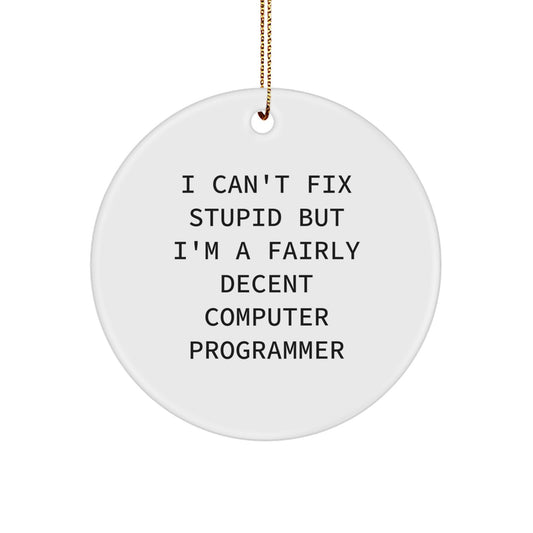 Funny Computer Programmer Gifts - I Can't Fix Stupid Circle Ornament, Perfect for Office Humor, Christmas Unique Gifts from Friends - Image 1