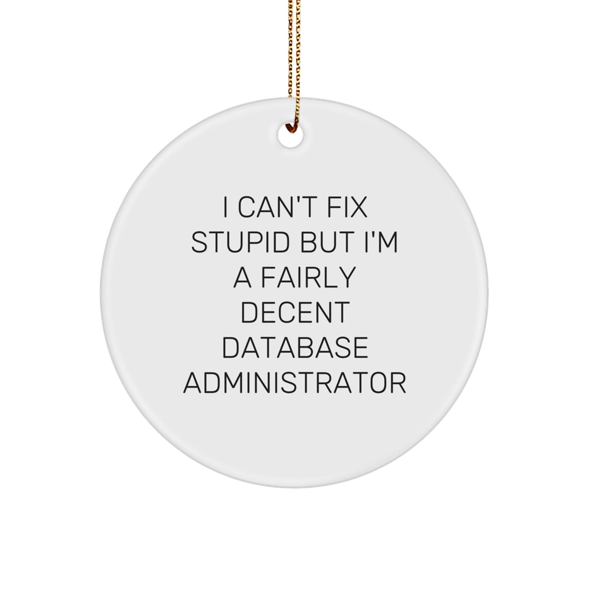 Funny Database Administrator Gifts for Men Women Friends Coworkers Family, Unique Christmas Circle Ornament, 'I Can't Fix Stupid But I'm A Fairly Decent Database Administrator' - Image 1