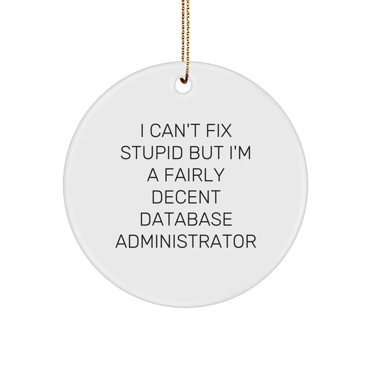 Funny Database Administrator Gifts for Men Women Friends Coworkers Family, Unique Christmas Circle Ornament, 'I Can't Fix Stupid But I'm A Fairly Decent Database Administrator' - Image 1