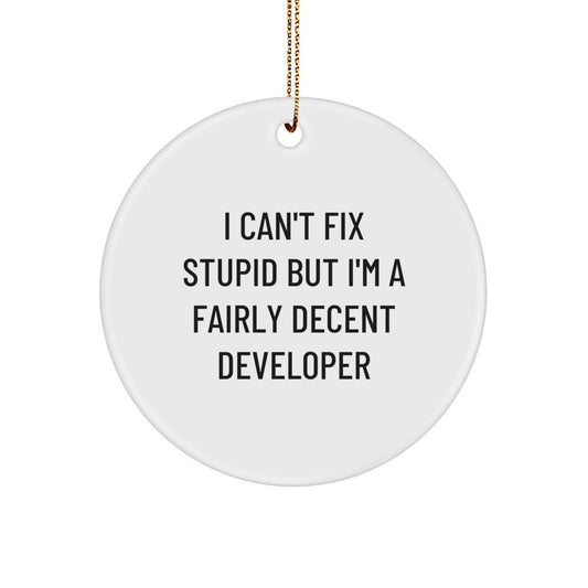 Funny Developer Gifts from Friends, Circle Ornament I Can't Fix Stupid But I'm A Fairly Decent Developer, Christmas Unique - Image 1