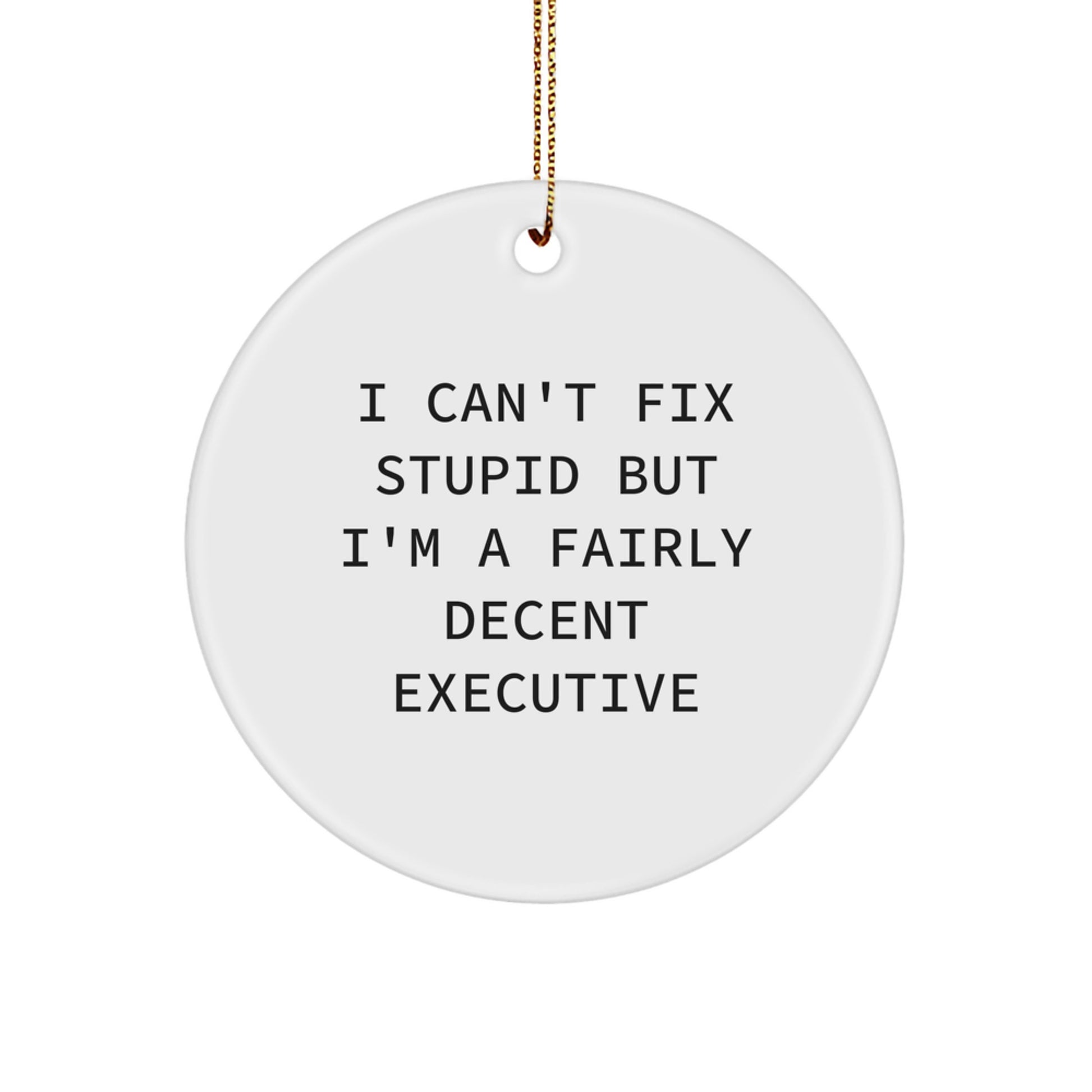 Funny Executive Gifts from Men for Men - Christmas Unique Circle Ornament I Cant Fix Stupid - Image 1