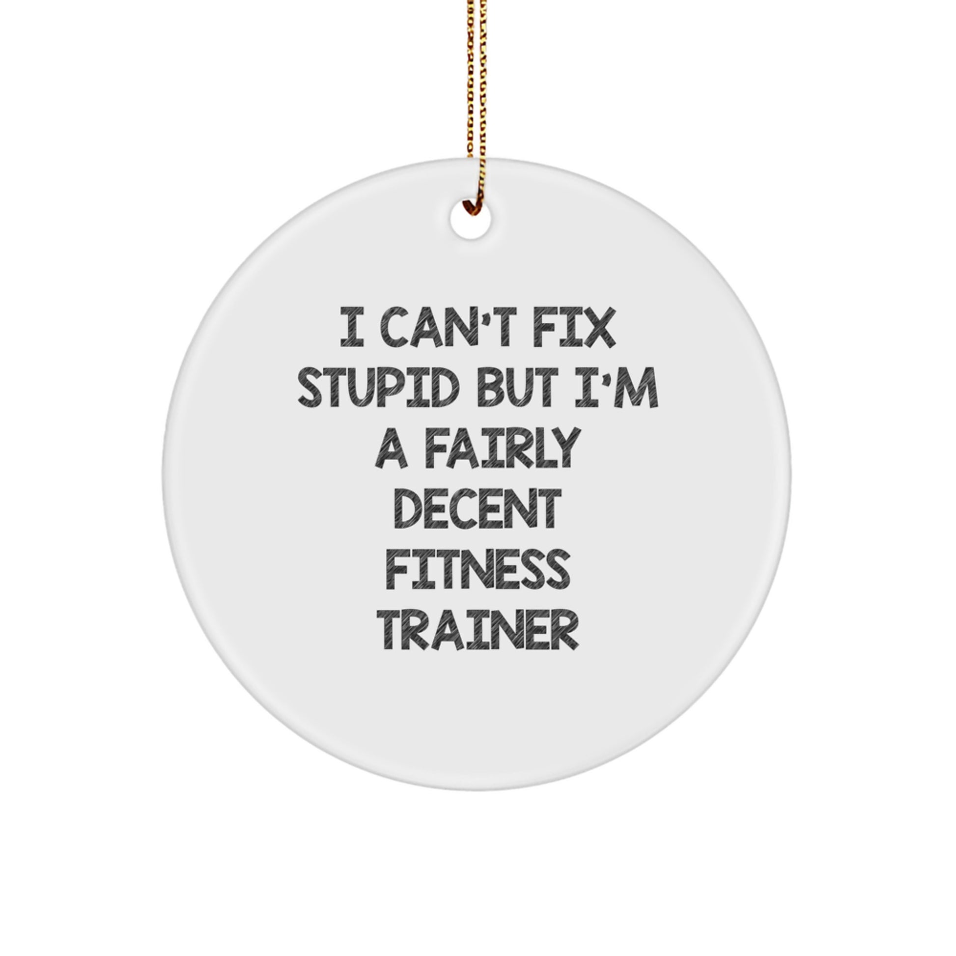 Funny Fitness Trainer Gifts from Friends to Friends with Inspirational Quote I Can't Fix Stupid But I'm A Fairly Decent Fitness Trainer, Christmas Unique Circle Ornament, White Circle Shaped - Image 1