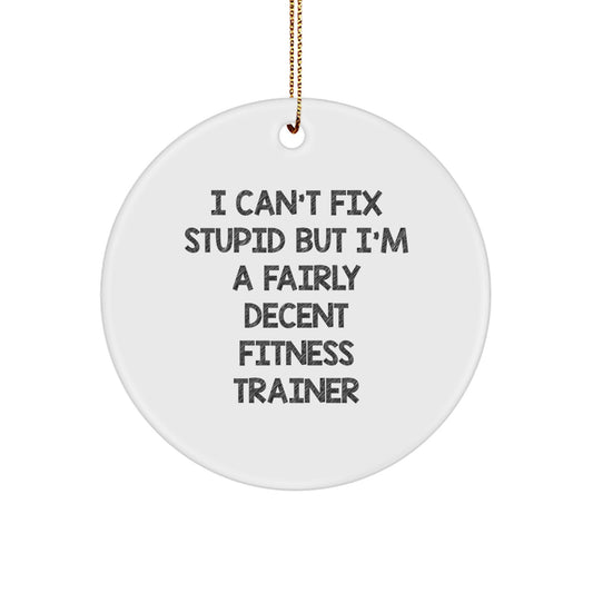 Funny Fitness Trainer Gifts from Friends to Friends with Inspirational Quote I Can't Fix Stupid But I'm A Fairly Decent Fitness Trainer, Christmas Unique Circle Ornament, White Circle Shaped - Image 1