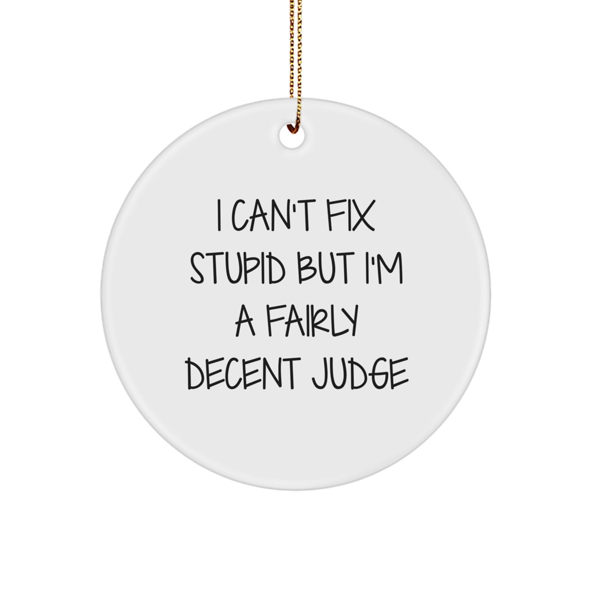 Funny Judge Gifts for Men, Women, or Coworkers - Unique Circle Ornament with I Can't Fix Stupid Quote - Image 1