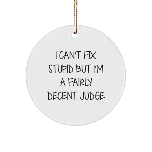 Funny Judge Gifts for Men, Women, or Coworkers - Unique Circle Ornament with I Can't Fix Stupid Quote - Image 1