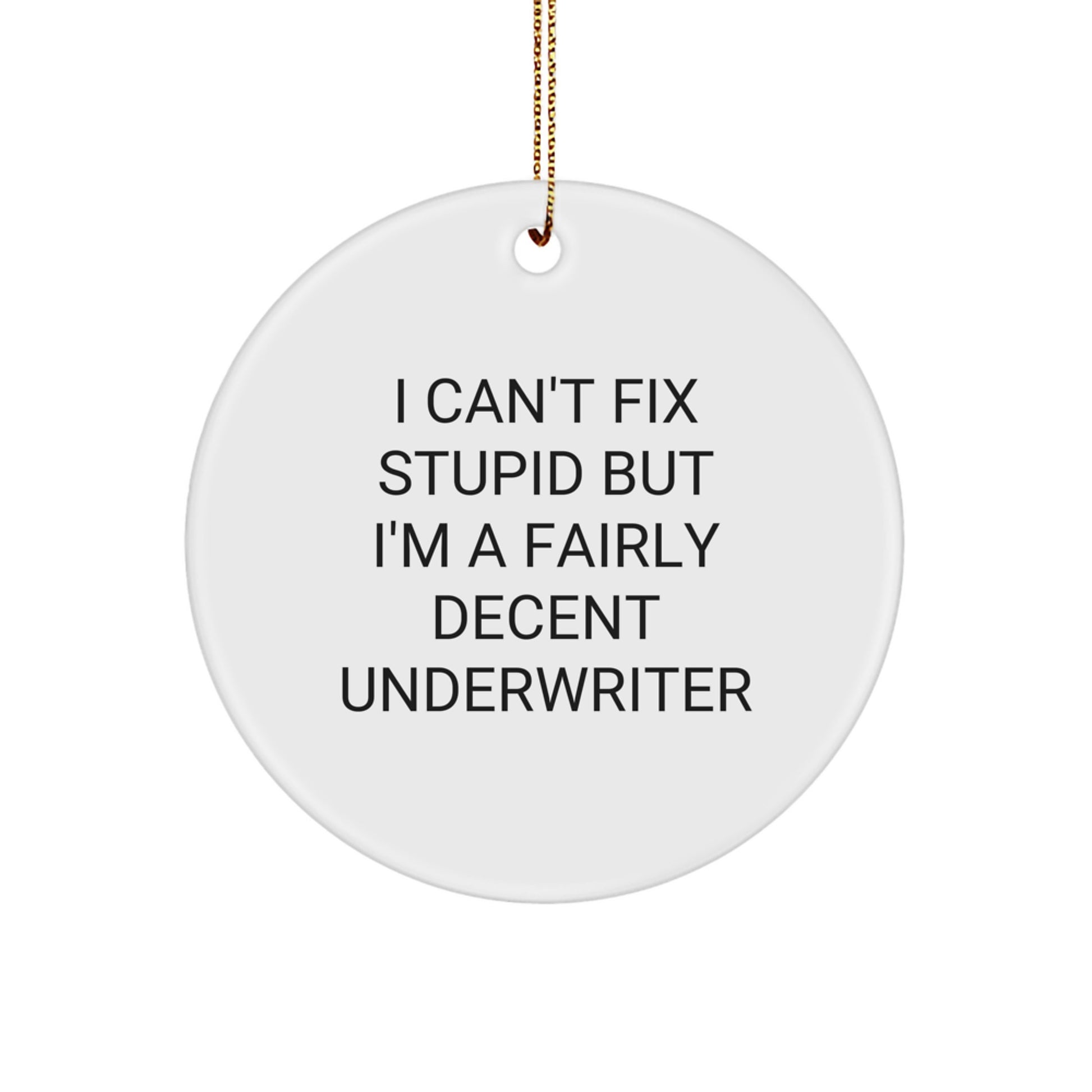 Funny Underwriter Gifts - 'I Can't Fix Stupid But I'm A Fairly Decent Underwriter' Circle Ornament for Christmas - Image 1