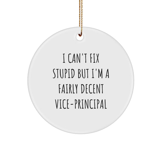 Funny Vice-principal Gifts from Men for Vice-principal, Christmas Unique Gifts for Men, Circle Ornament with I Can't Fix Stupid - Image 1