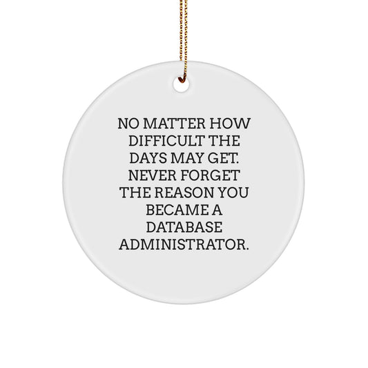 Never Forget Database Administrator Christmas Ornament Gift for Friends - Image 1