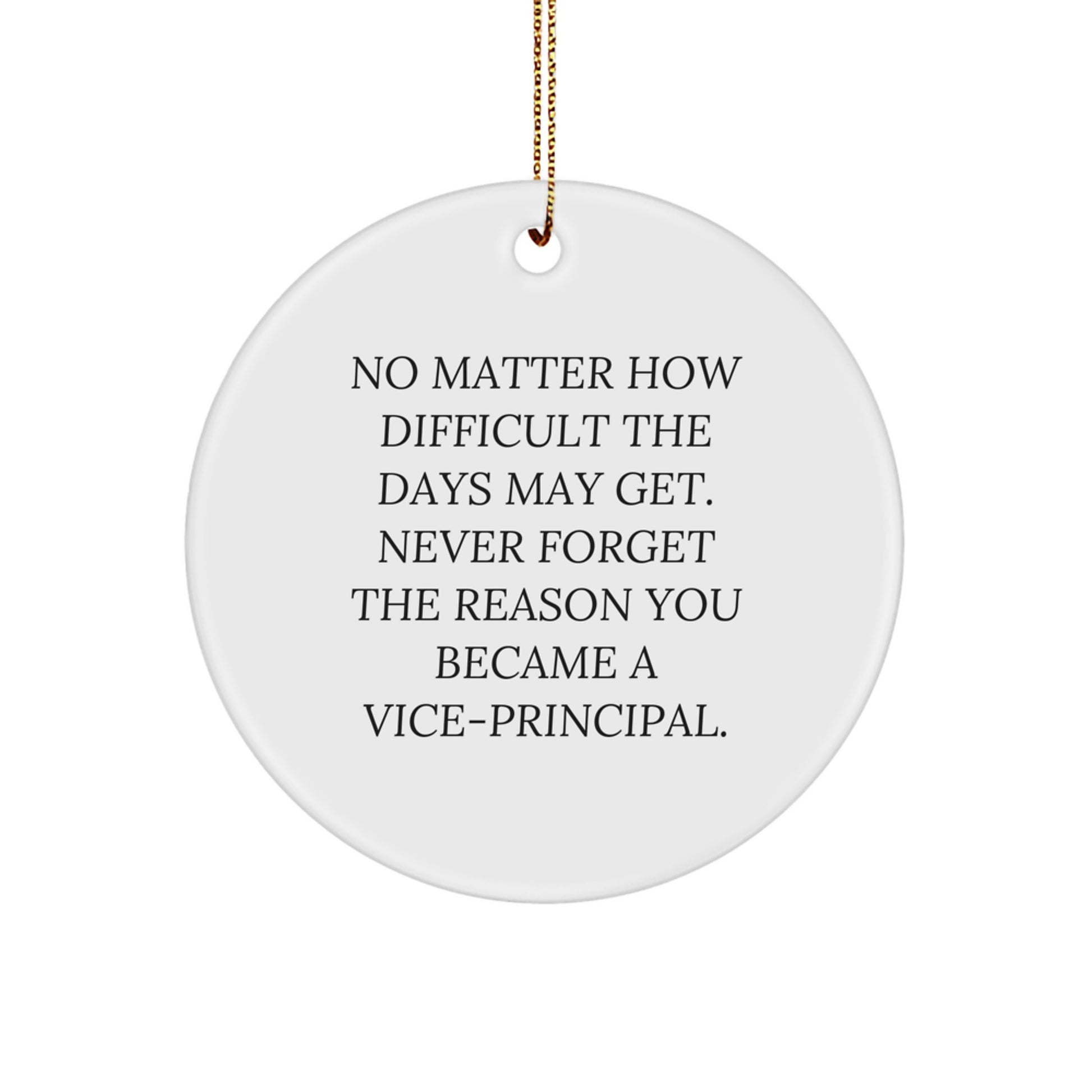 Funny Vice-principal Gifts for Men - Circle Ornament, Inspirational Quote 'Never Forget The Reason You Became A Vice-principal.' Gifts from Family to Vice-principal at Christmas - Image 1