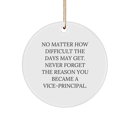Funny Vice-principal Gifts for Men - Circle Ornament, Inspirational Quote 'Never Forget The Reason You Became A Vice-principal.' Gifts from Family to Vice-principal at Christmas - Image 1