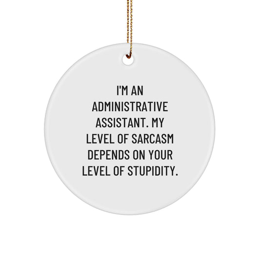 Funny Administrative Assistant Circle Ornaments Gifts from Friends or Family for Christmas Unique - Image 1