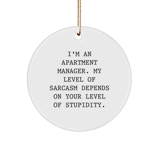 Gifts from Family and Friends for Apartment Managers - Funny Sarcasm Circle Ornament for Christmas - Image 1