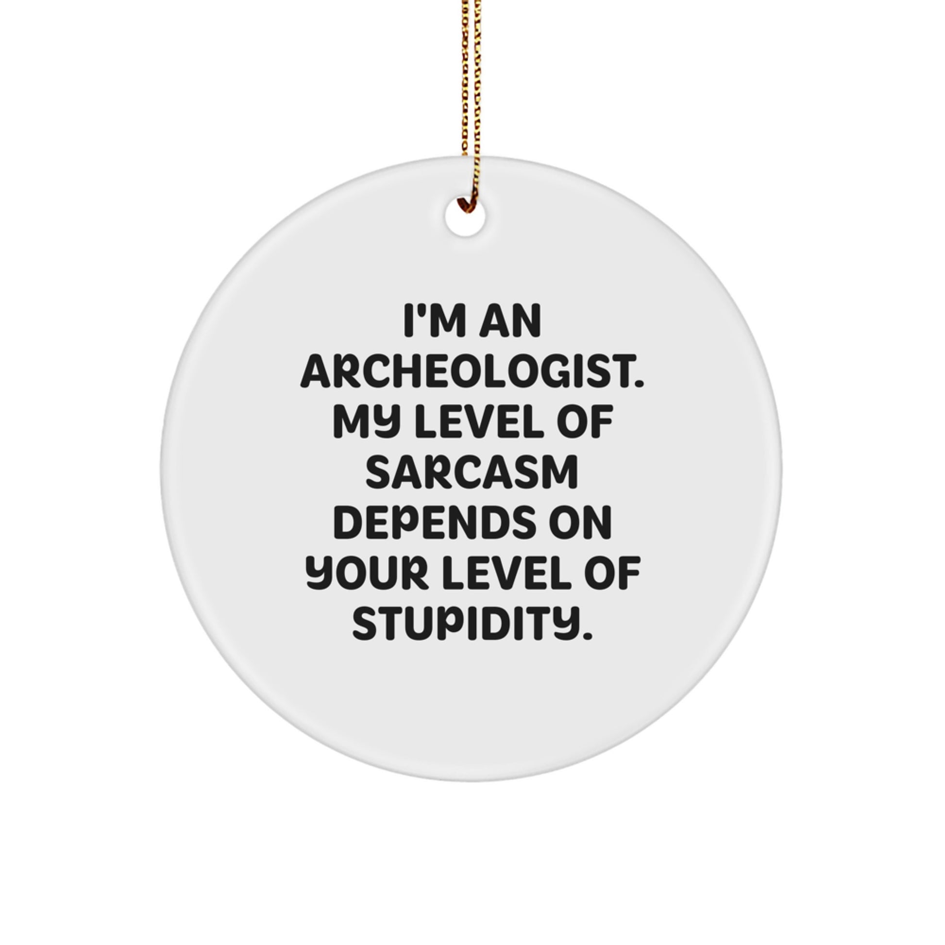 Funny Archeologist Gifts for Friends, Archeology Circle Ornament with Sarcasm Quote, Christmas Unique Presents - Image 1