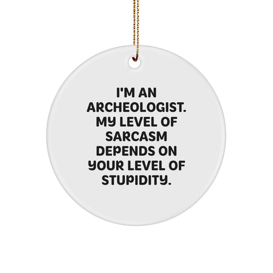 Funny Archeologist Gifts for Friends, Archeology Circle Ornament with Sarcasm Quote, Christmas Unique Presents - Image 1