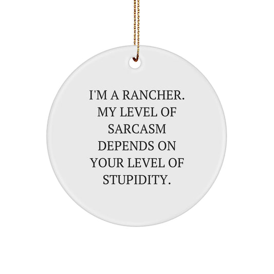 Christmas Unique Gift Rancher Circle Ornament I'm a Rancher for Her Present - Image 1