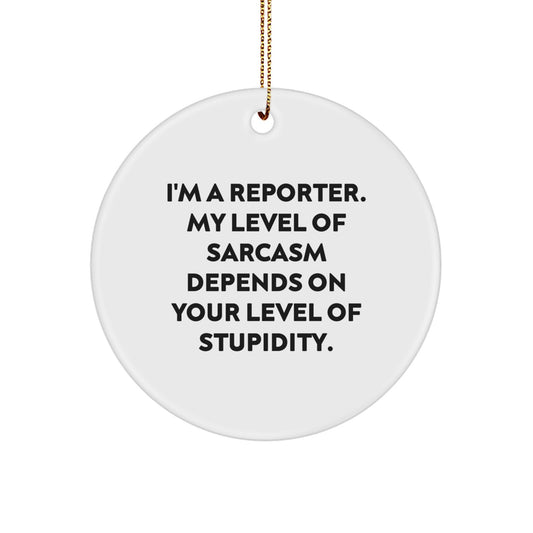 Funny Reporter Gifts from Friends, Unique Christmas Ornaments for Reporter, Circle Shaped Decor - Image 1
