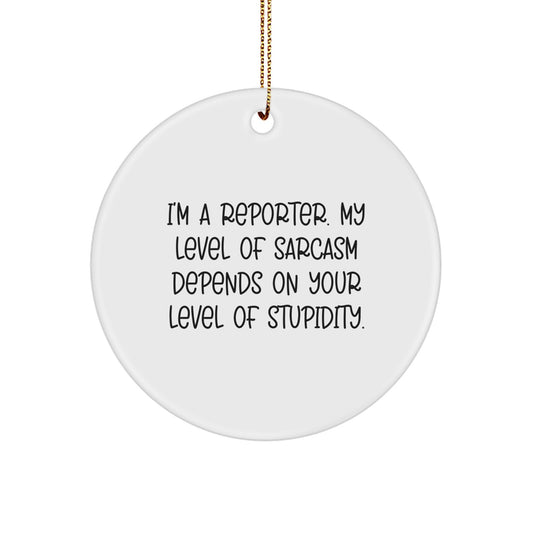 Reporter Christmas Ornament for Him Gift Depends on Your Stupidity - Image 1