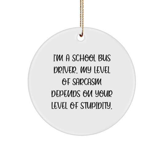 Funny School Bus Driver Gifts for Christmas, Sarcastic Quote Circle Ornament, Gifts from Friends to School Bus Driver, Humorous School Bus Driver Decor - Image 1